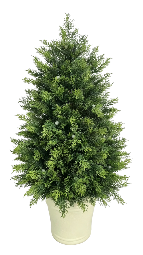 Potted Cypress Tabletop Tree — Ivory Pot